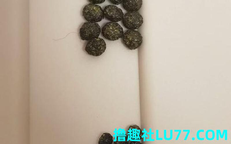 梦见兔子屎 梦见兔子屎