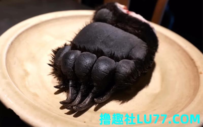 梦见被熊掌抓 梦见被熊掌抓
