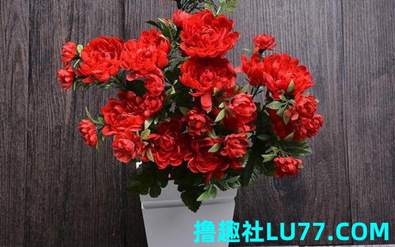 梦见收到