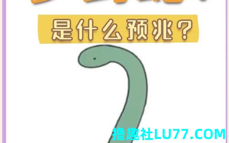 梦见水里都是蛇