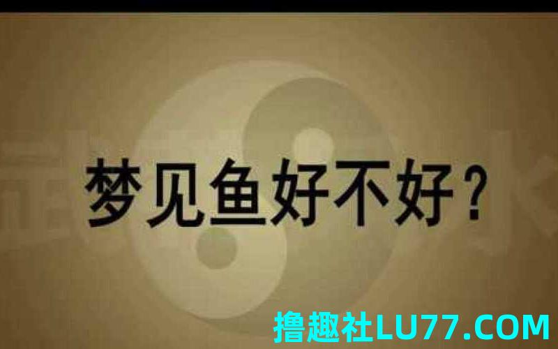 梦见鱼板子