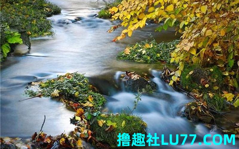 梦见鱼塘水满往外流是什么意思