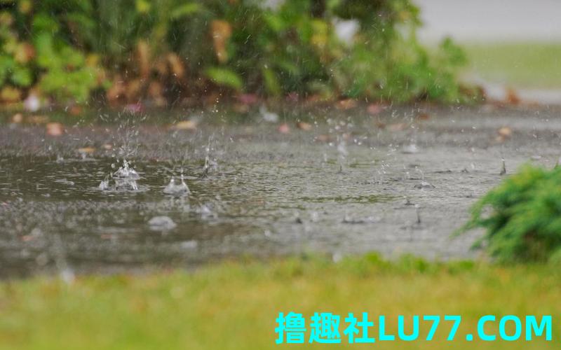 梦见下雨床上都是水 梦见下雨床上都是水