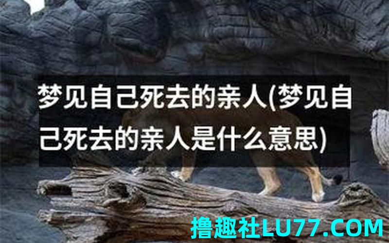 梦见自己死去了