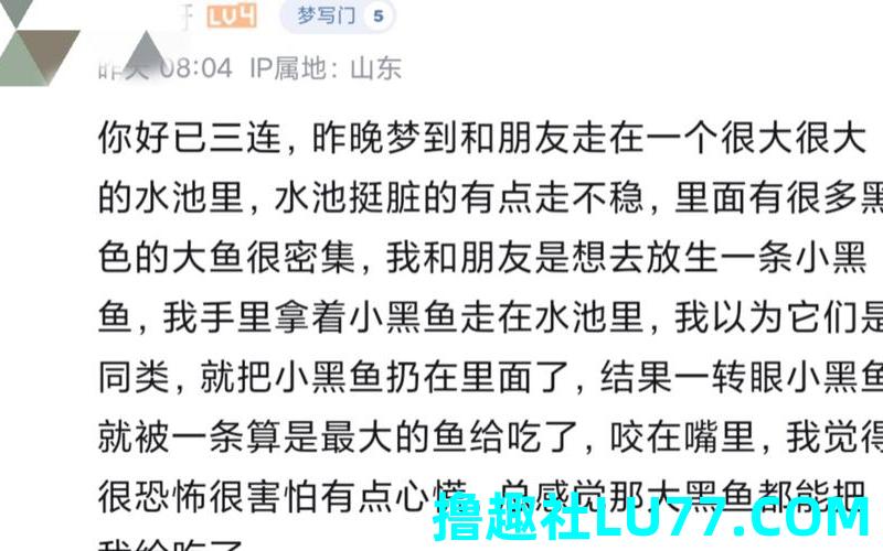 梦见鱼在线