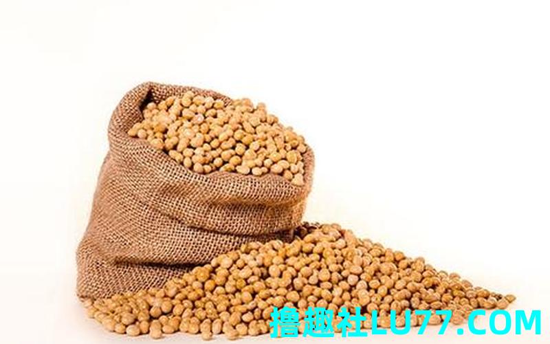 梦见抛豆