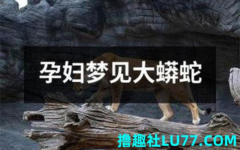 梦见大蟒蛇要吃我