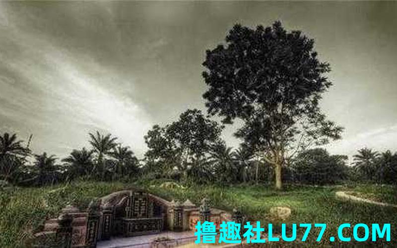 孕妇梦见做坟