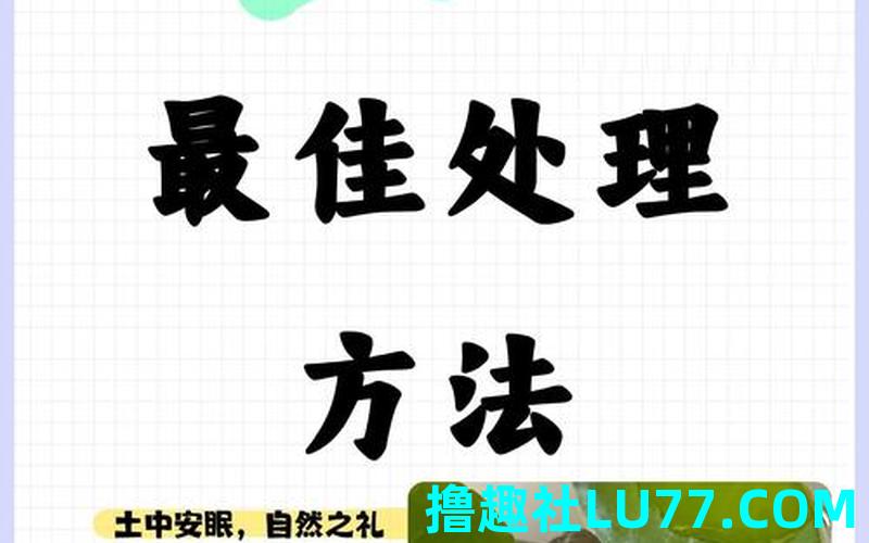 梦见打死了龟 梦见打死了龟