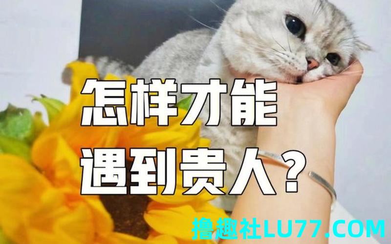 梦见遇到贵人相助