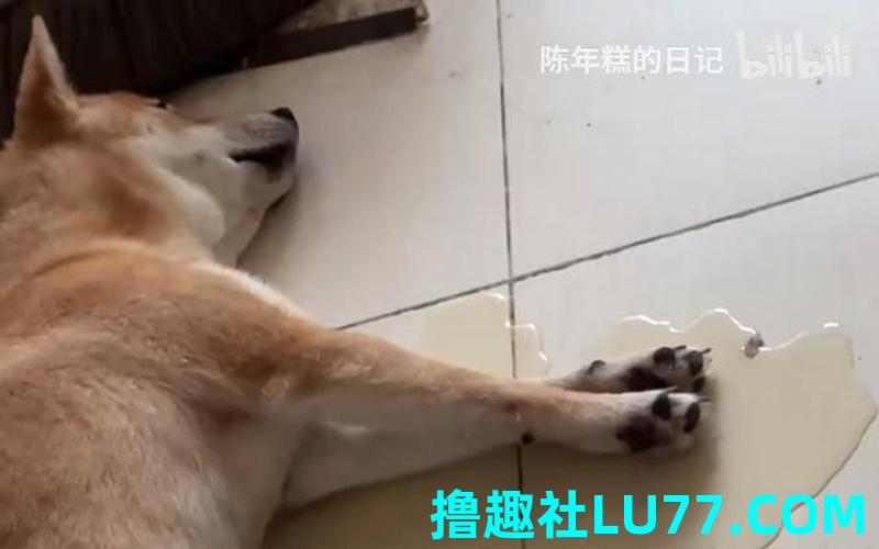 梦见后撒尿