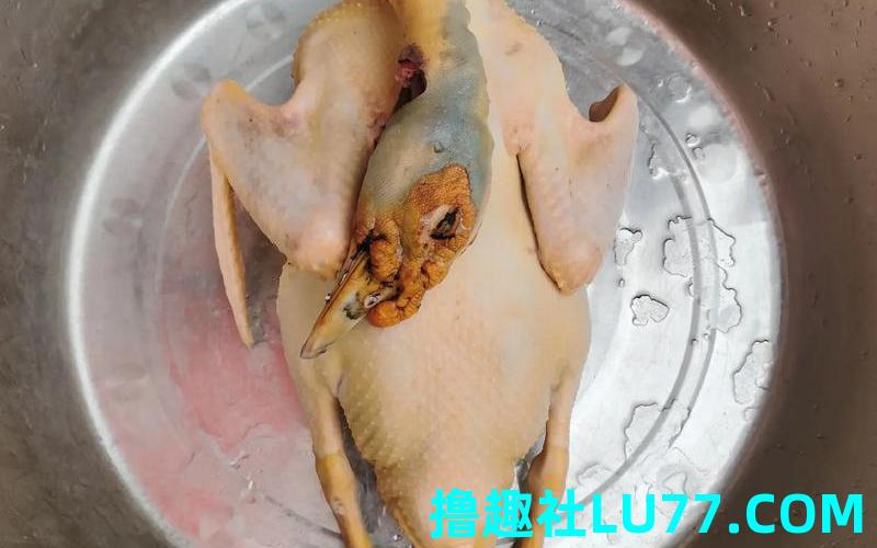 梦见鸭肉拜神 梦见鸭肉拜神