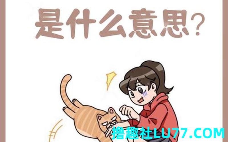 怀孕了 梦见自己是猫