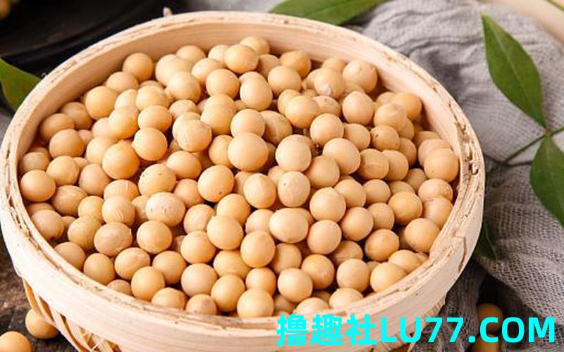 梦见送黄豆给别人