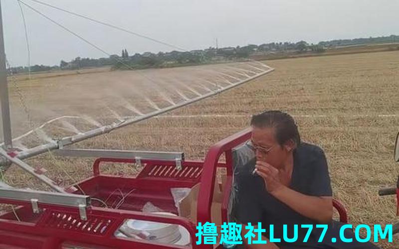 梦见浇大田