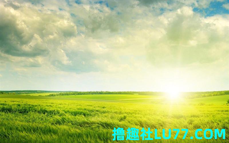 梦见风和日丽