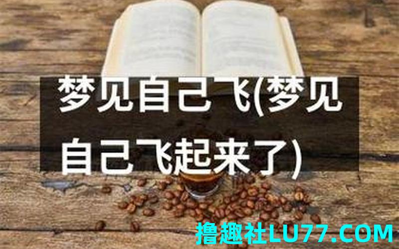 梦见飞打人