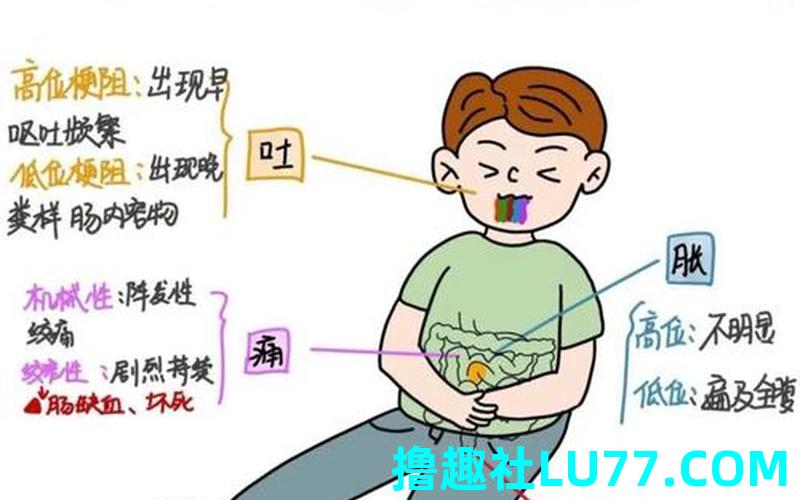 梦见自己肠子 梦见自己肠子