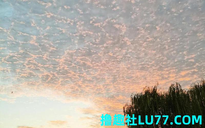 梦见走在马路上 梦见走在马路上