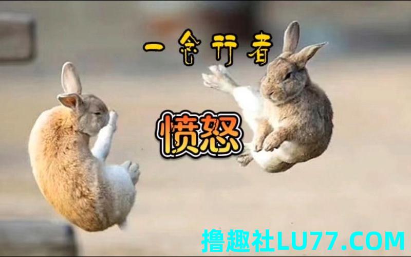 怒梦见