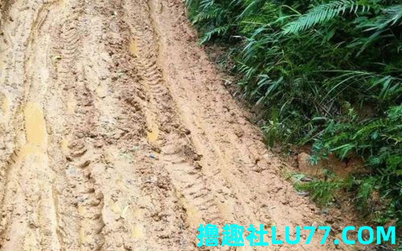 梦见走烂泥巴路