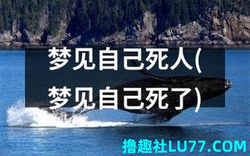 梦见救了个人