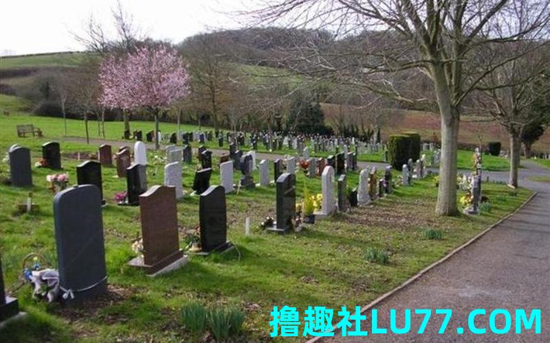 梦见道教看坟地
