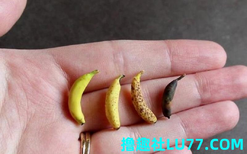 梦见香蕉压烂了 梦见香蕉压烂了