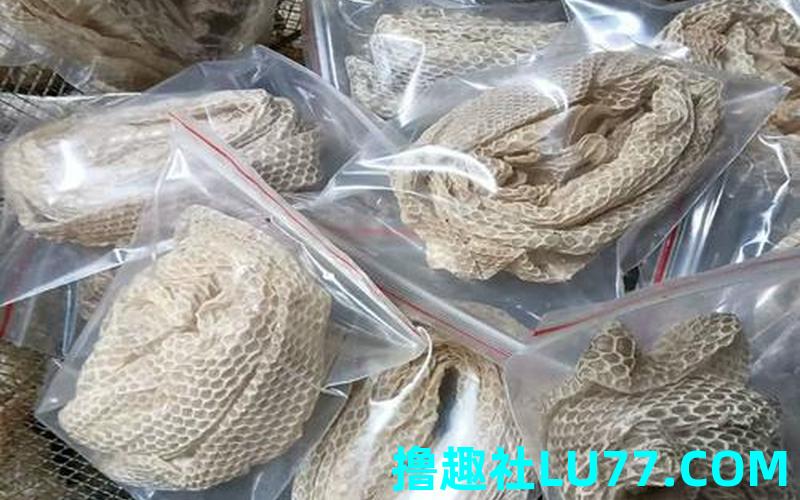 梦见老家龙皮 梦见老家龙皮