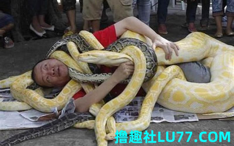 梦见被蛇缠着什么意思