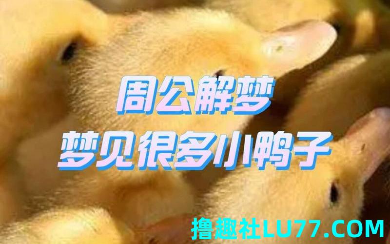 梦见生很多小 梦见生很多小
