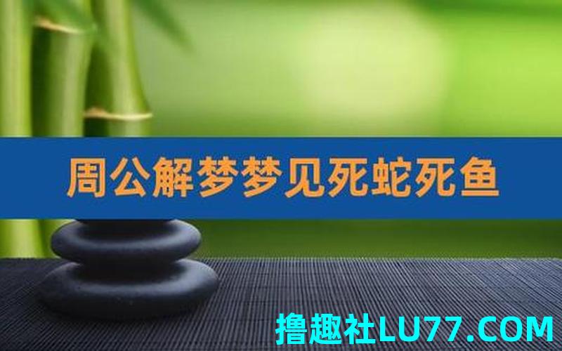 梦见死鱼和死蛇