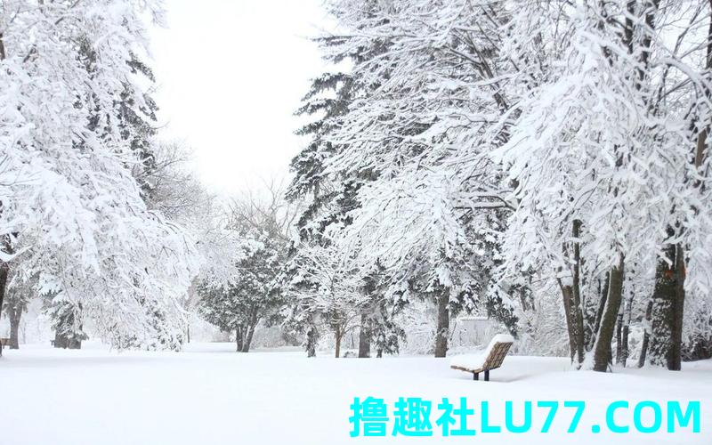 雪梦见