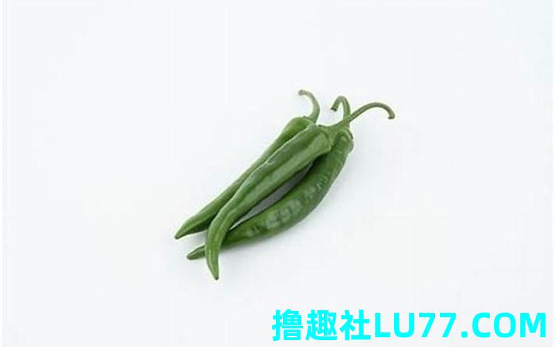 梦见椒 梦见椒