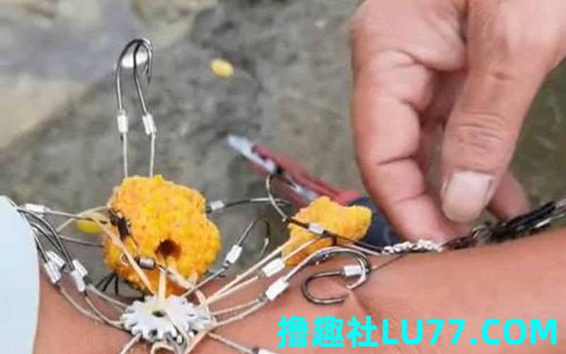 梦见钓鱼跑掉鱼钩