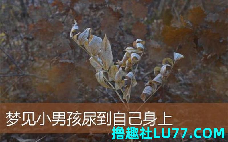 梦见自己尿了一地 梦见自己尿了一地