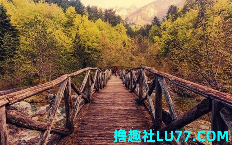 梦见飞岩走