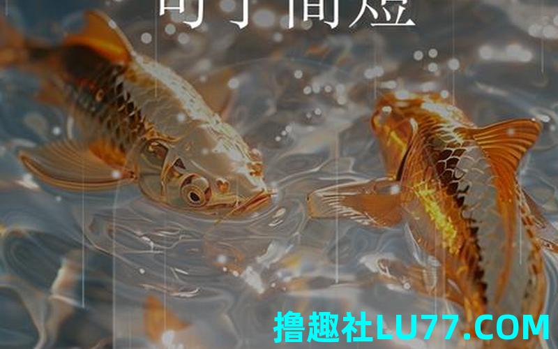 梦见黄龙卷土 梦见黄龙卷土