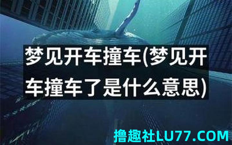 梦见开车出走