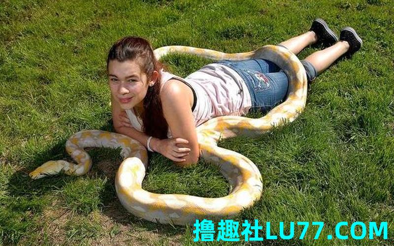 梦见蛇变成了鸽子 梦见蛇变成了鸽子