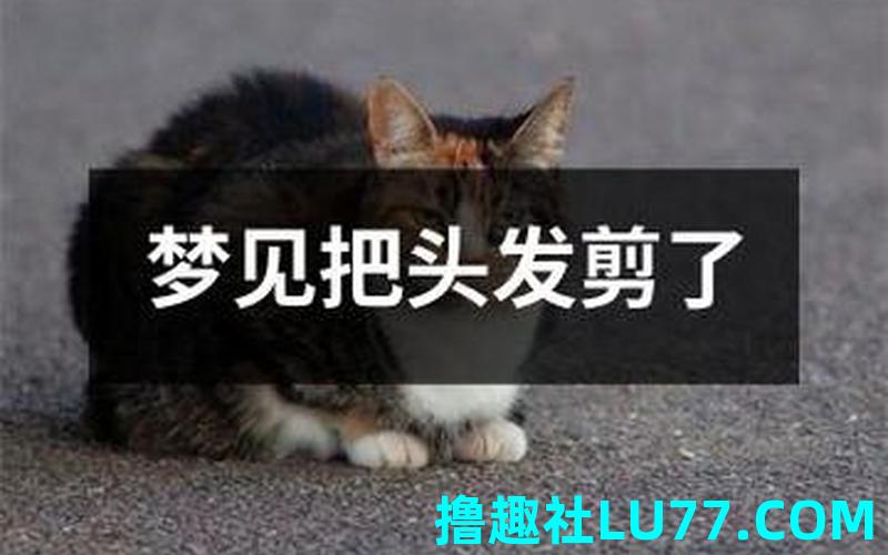 梦见别人的头发剪短了 梦见别人的头发剪短了