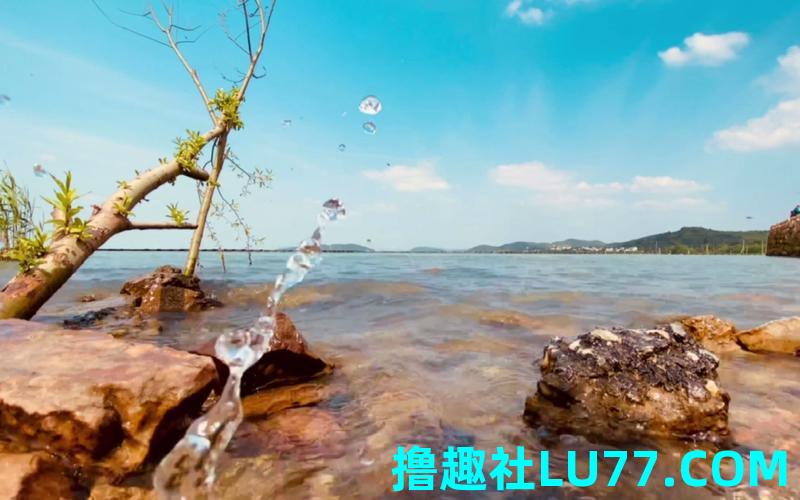 梦见许多外国人