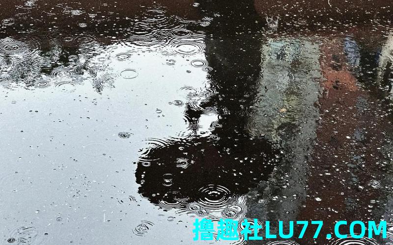 梦见雨天