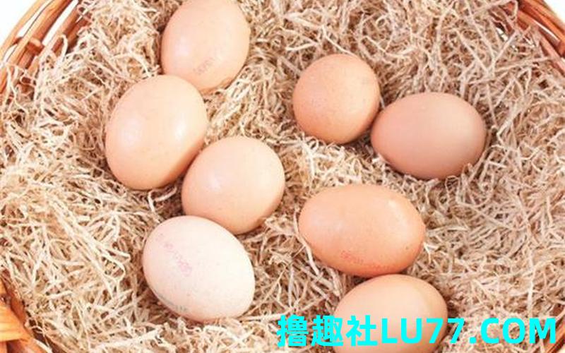 梦见鸭蛋没去捡