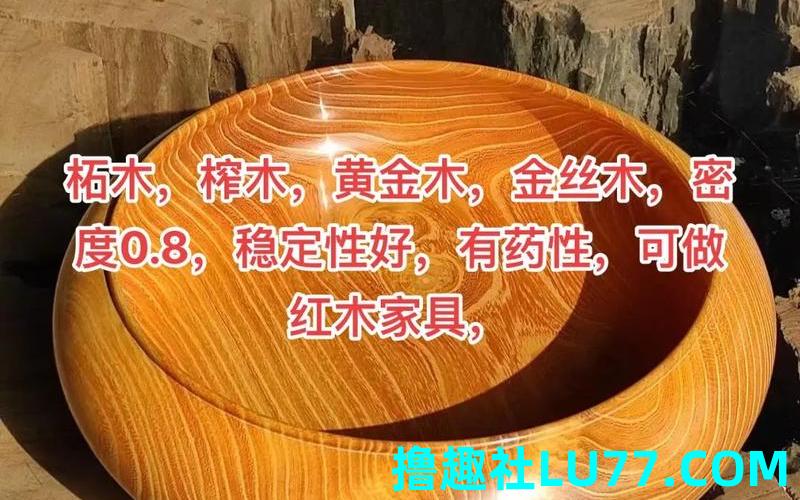 梦见金茨木 梦见金茨木