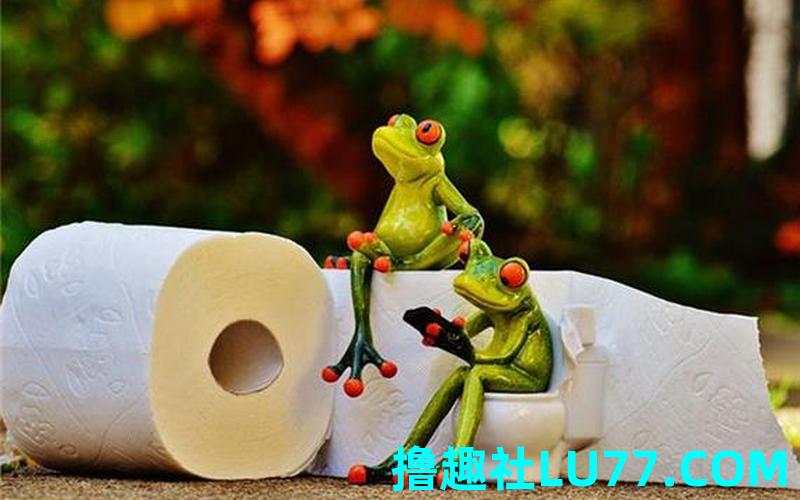 梦见无纸