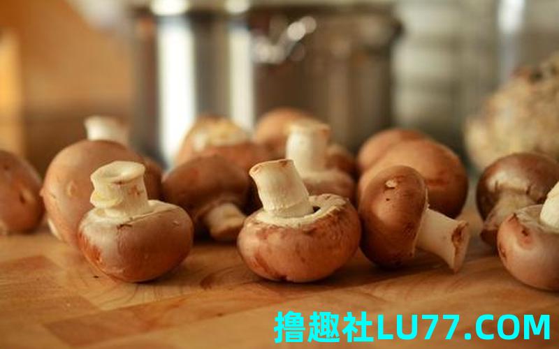 梦见蘑 梦见蘑