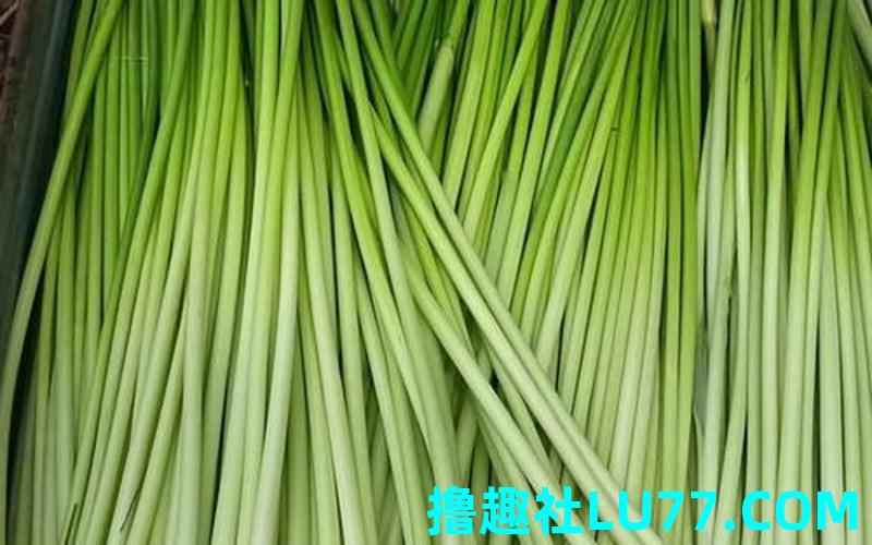 梦见买的蒜苔