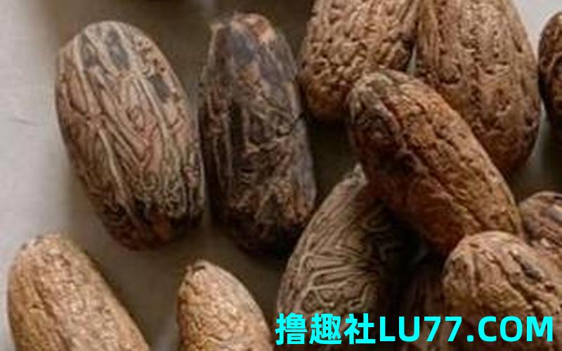 梦见菩提果 梦见菩提果