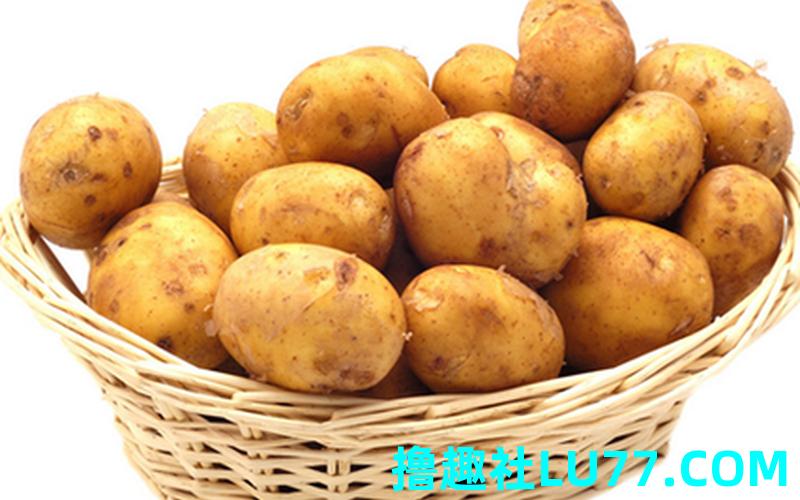 做梦梦见土豆怎么回事 做梦梦见土豆怎么回事